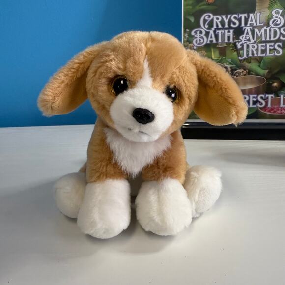 Ty Beanie Boo Franklin Dog • 6” Tan White Puppy Plush • Stuffed Animal EUC - Picture 1 of 5